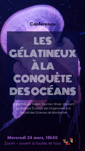 Conférence – Les gélatineux à la conquête des océans
