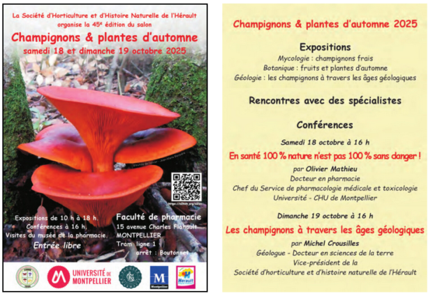 Salon “Champignons et plantes d’automne”