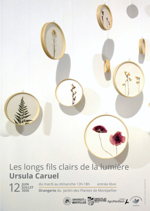 Exposition: Les longs fils clairs de la lumière